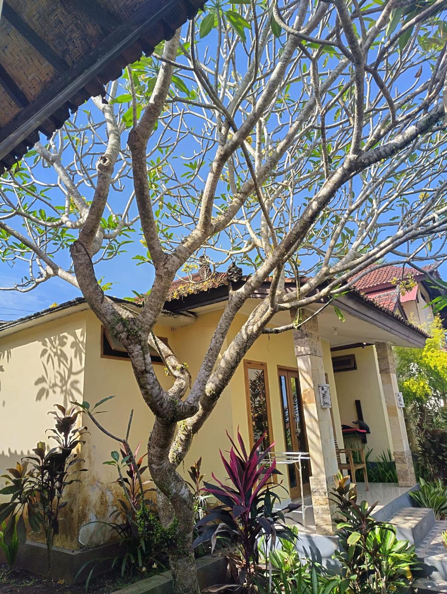 Kirra'S Beach House Pulukan Εξωτερικό φωτογραφία
